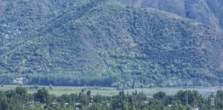 Kashmir Valley kashmir vally